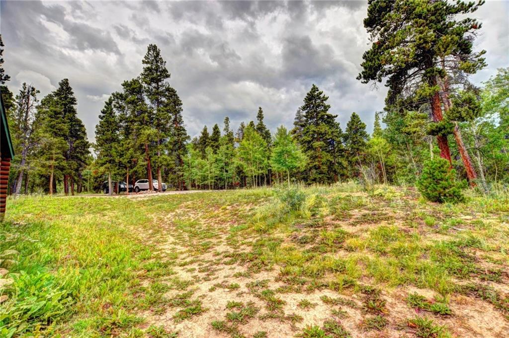125 Wild Rye Road Fairplay, CO 80440 - Photo 25 of 29 Gallery Image 25
