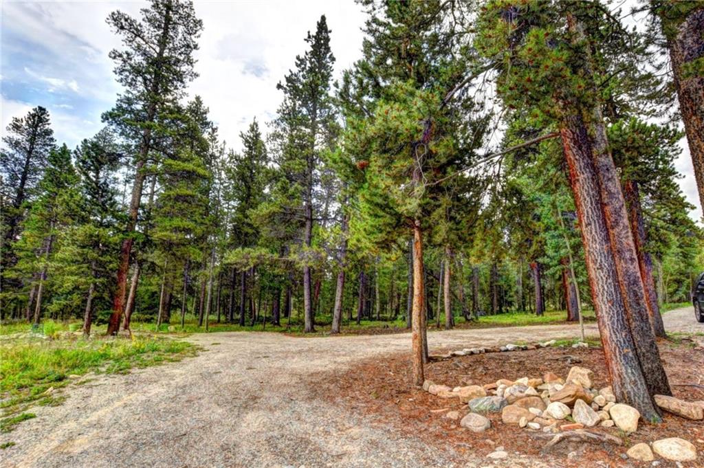 125 Wild Rye Road Fairplay, CO 80440 - Photo 26 of 29 Gallery Image 26