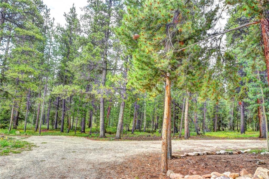 125 Wild Rye Road Fairplay, CO 80440 - Photo 27 of 29 Gallery Image 27