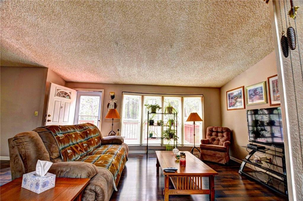 125 Wild Rye Road Fairplay, CO 80440 - Photo 8 of 29 Gallery Image 8
