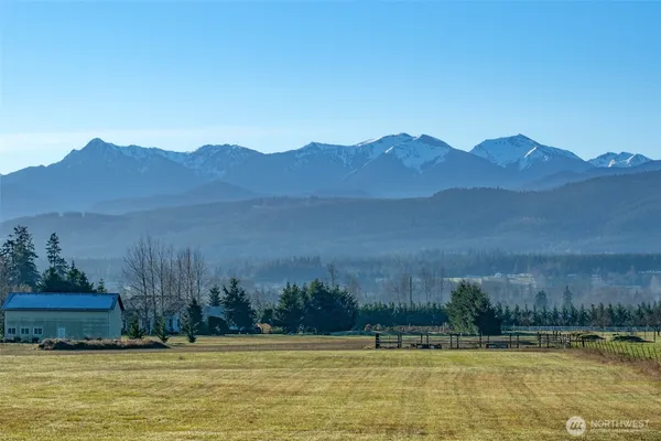 a view of a swimming pool with mountains in the background