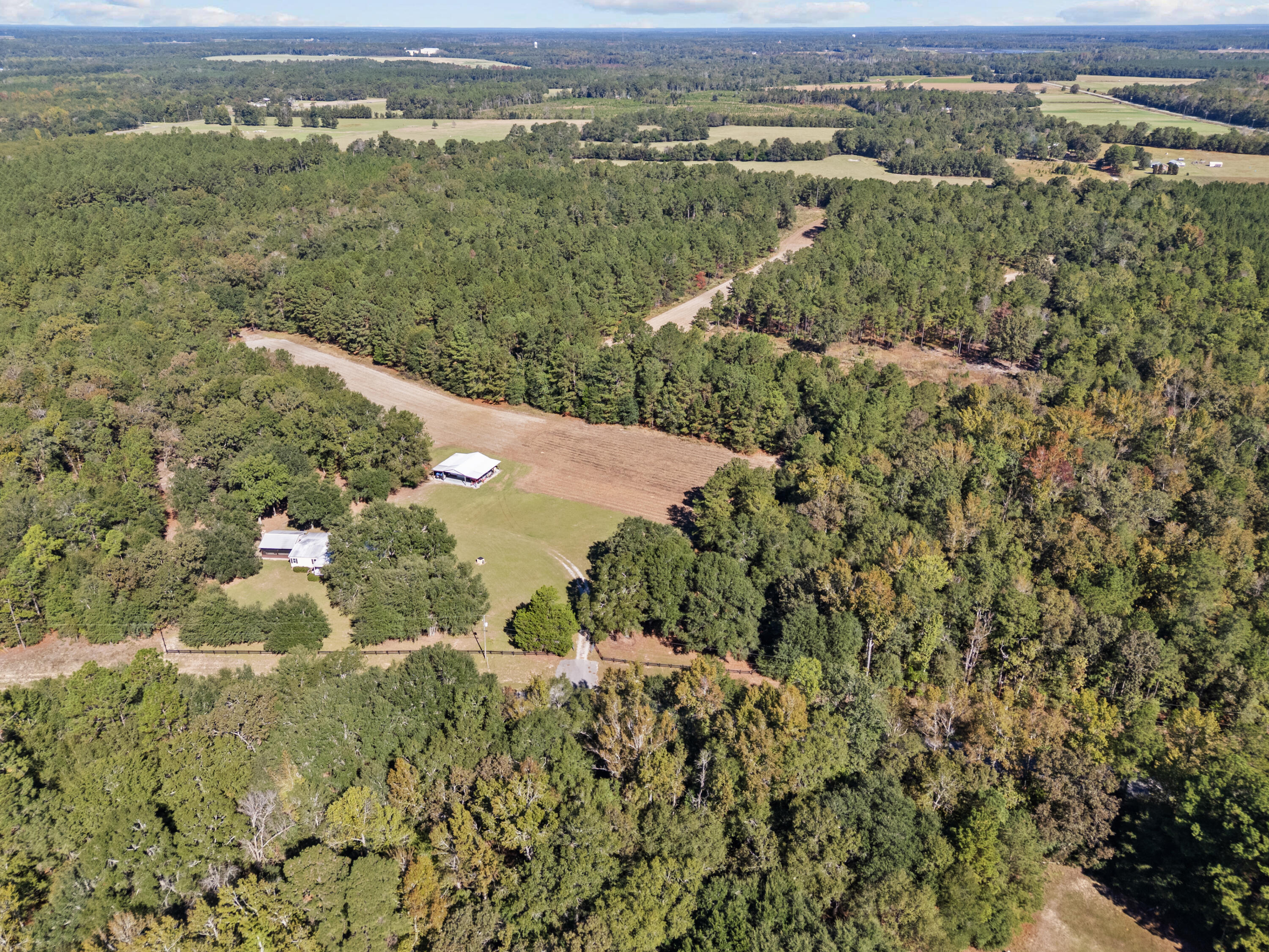 7901 State Rd S-6-169 Blackville, SC 29817 - Photo 72 of 89