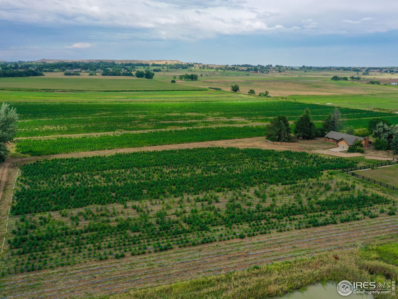 7823 Hygiene Road Longmont, CO 80503 - Photo 1 of 21 a view of a big green field with lots of green space in the back