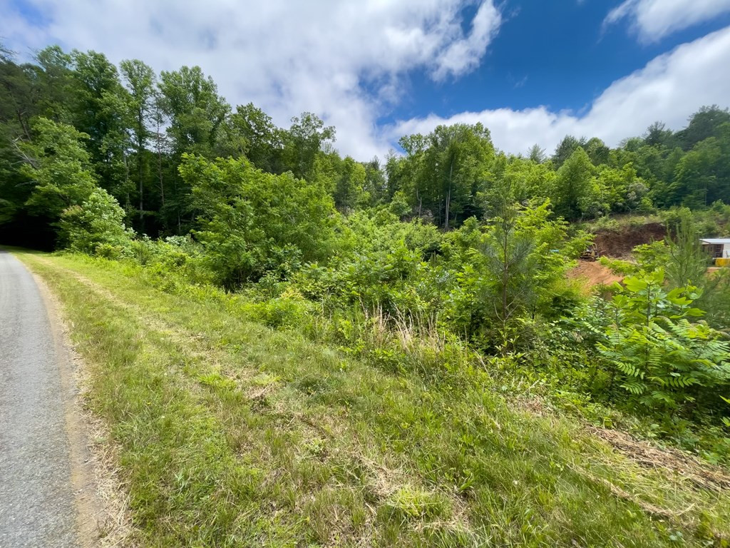 7.91 Prince Road Murphy, NC 28906 - Photo 19 of 41