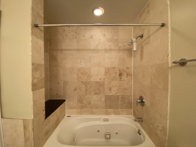 2525 West Harrison Street, Unit 2 Chicago, IL 60612 - Photo 10 of 16 a bathroom with a bathtub