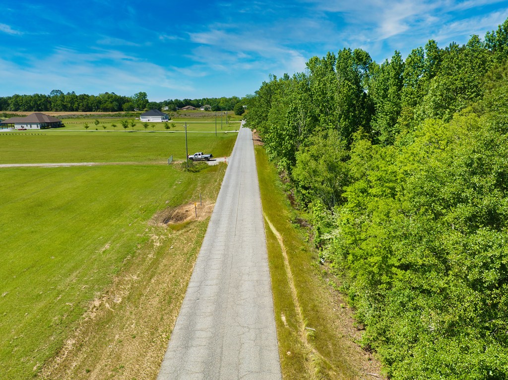 0 Suggs Road Headland, AL 36345 - Photo 6 of 7