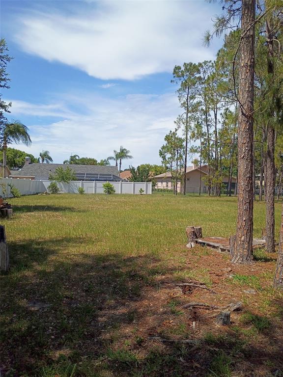 5142 La Plata Drive New Port Richey, FL 34655 - Photo 4 of 6