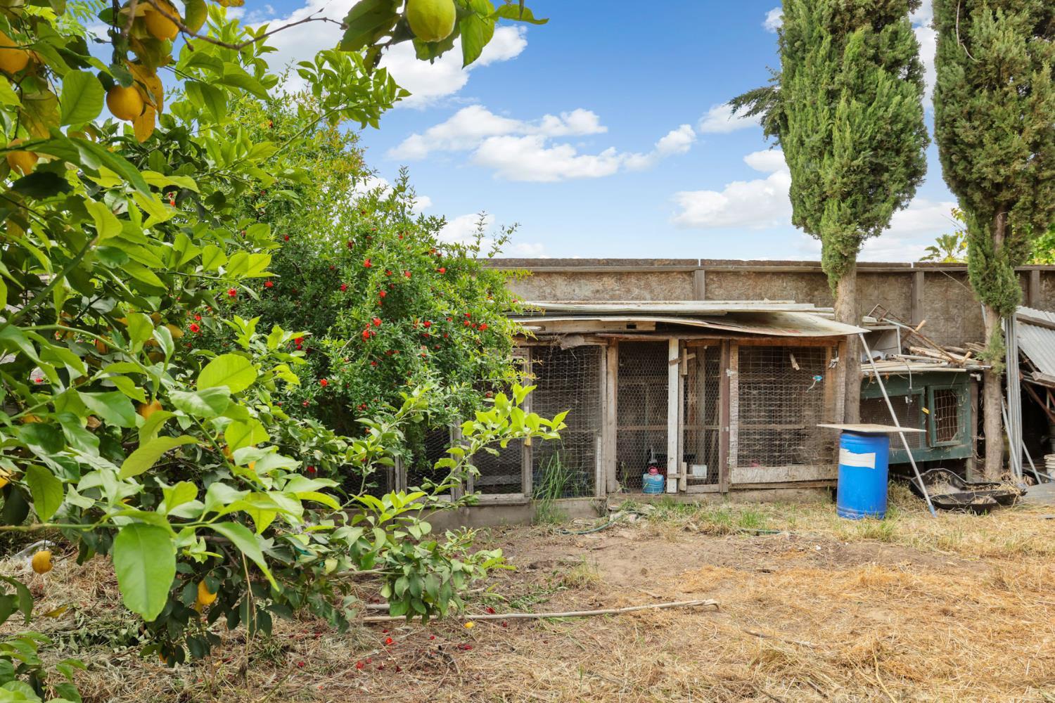 202 Olivero Road Modesto, CA 95358 - Photo 28 of 36 a view of a house with potted plants and a fountain