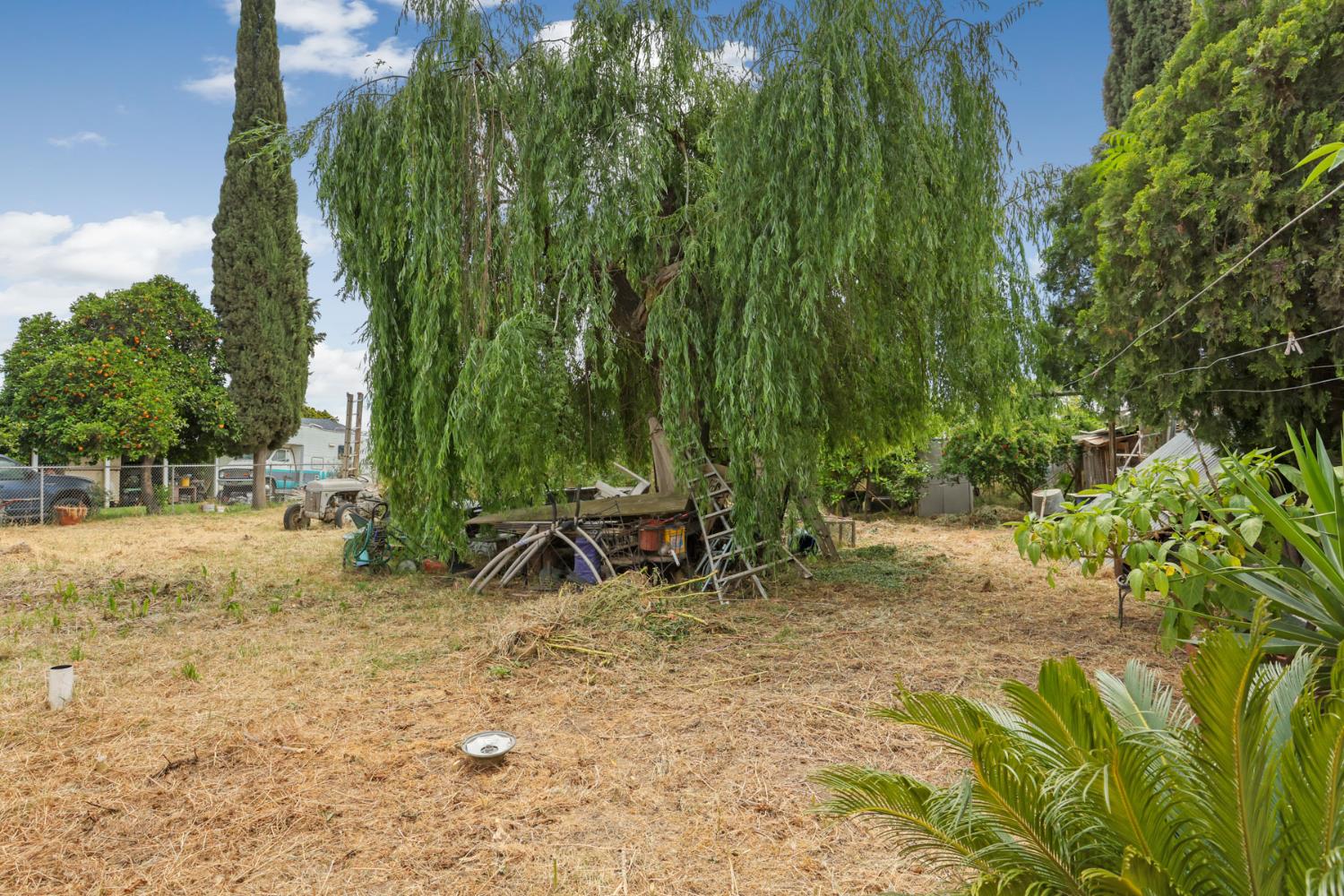 202 Olivero Road Modesto, CA 95358 - Photo 29 of 36 a view of a park with large trees