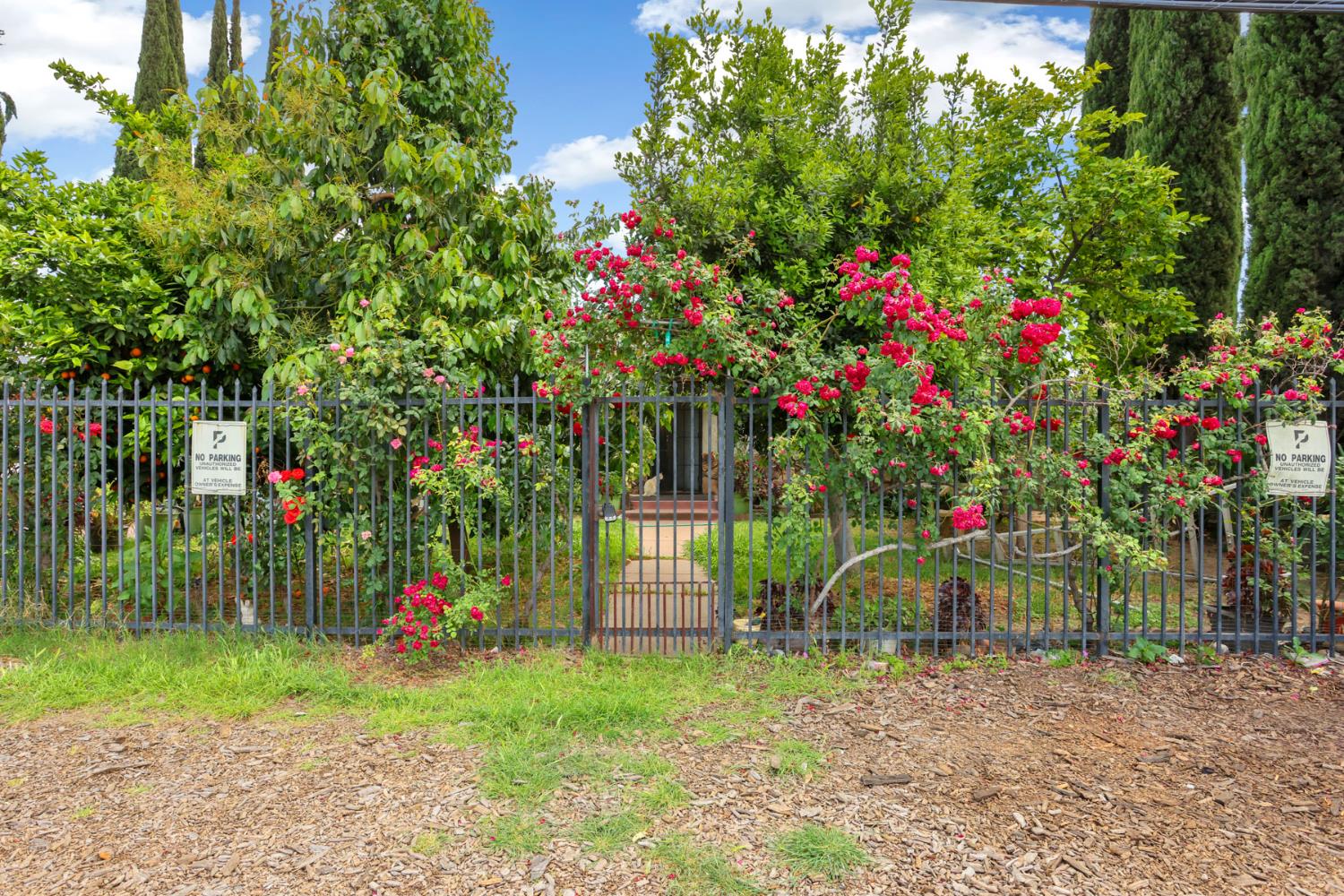 202 Olivero Road Modesto, CA 95358 - Photo 31 of 36 a small garden and flowers in the garden
