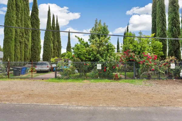 a view of garden with plants