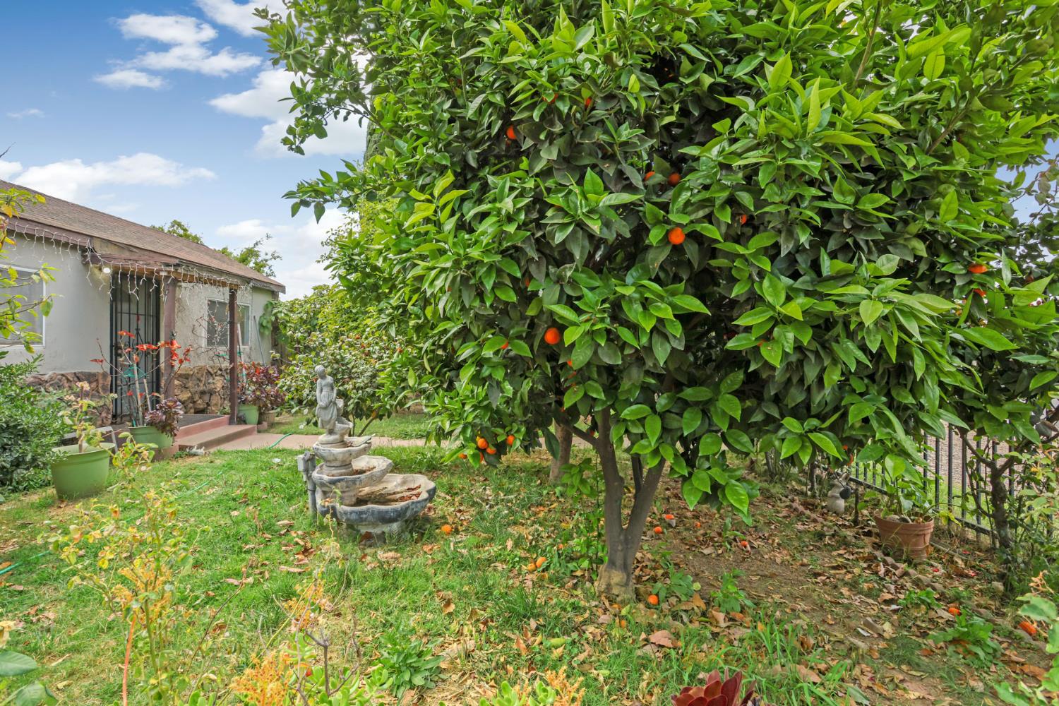 202 Olivero Road Modesto, CA 95358 - Photo 9 of 36 a backyard of a house with table and chairs