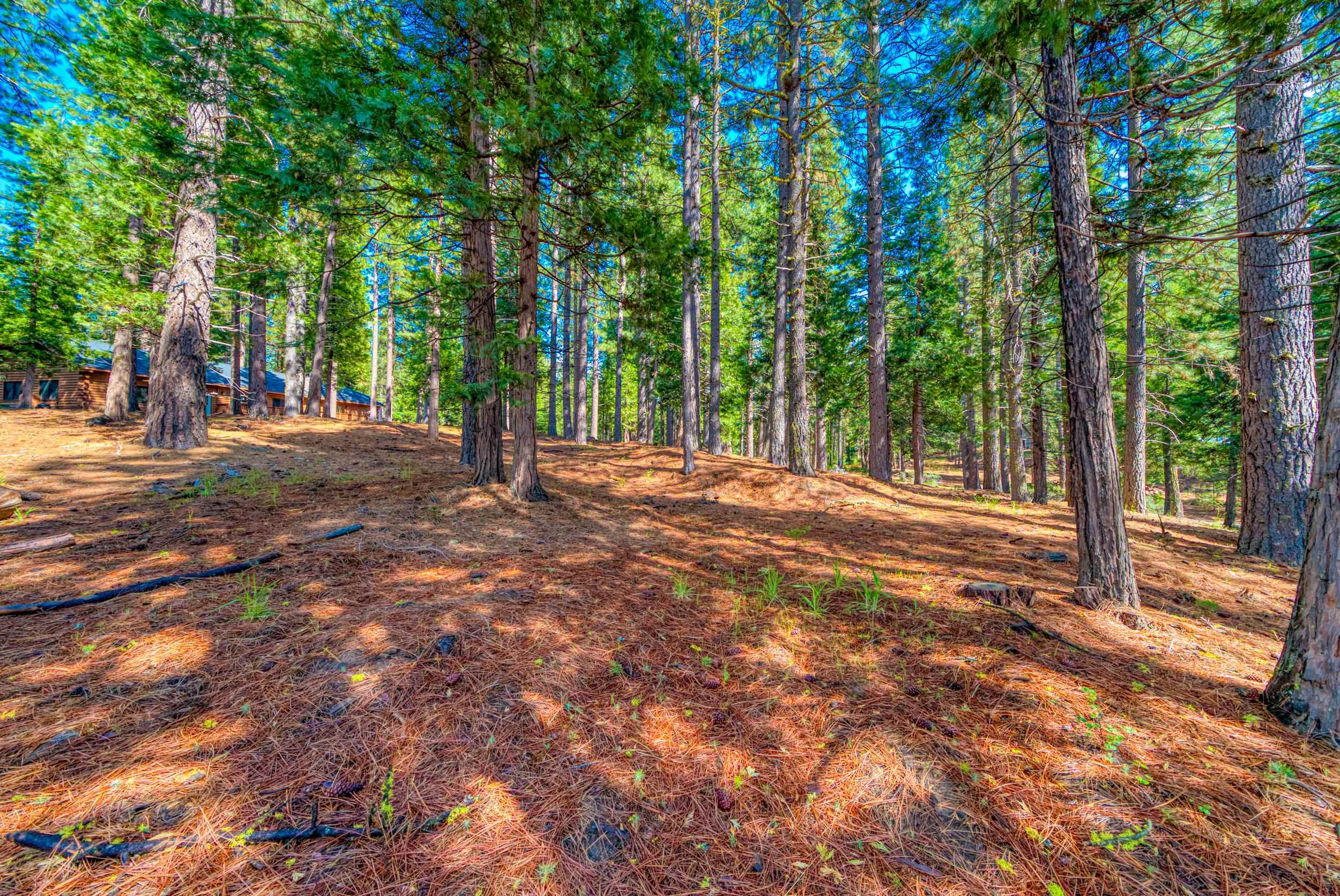 954 Red Fox Road Clio, CA 96106 - Photo 7 of 22