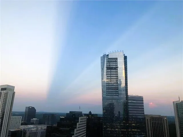 a sign that is in front of flowers