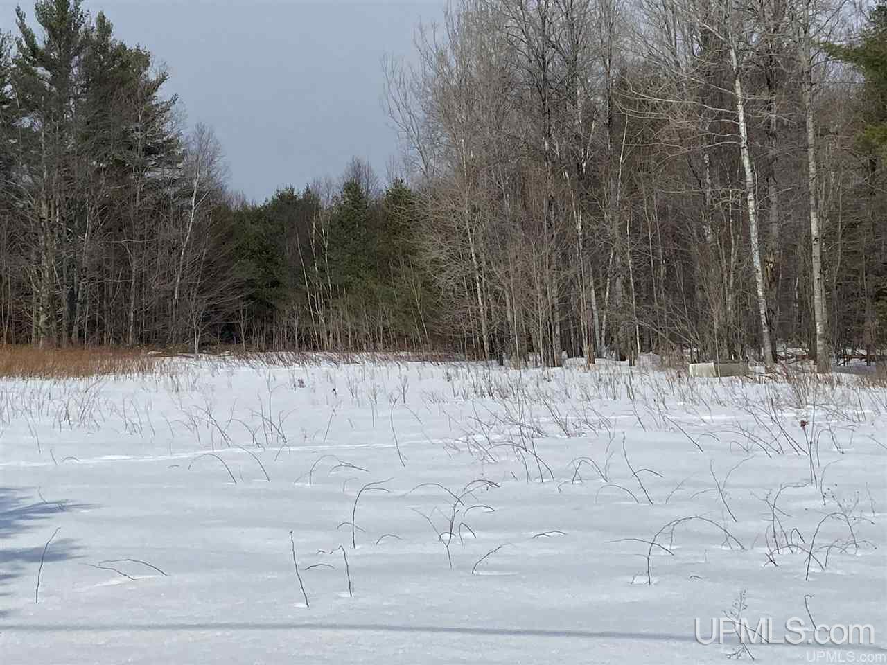 6302 W Krummich Road Manistique, MI 49854 - Photo 9 of 13