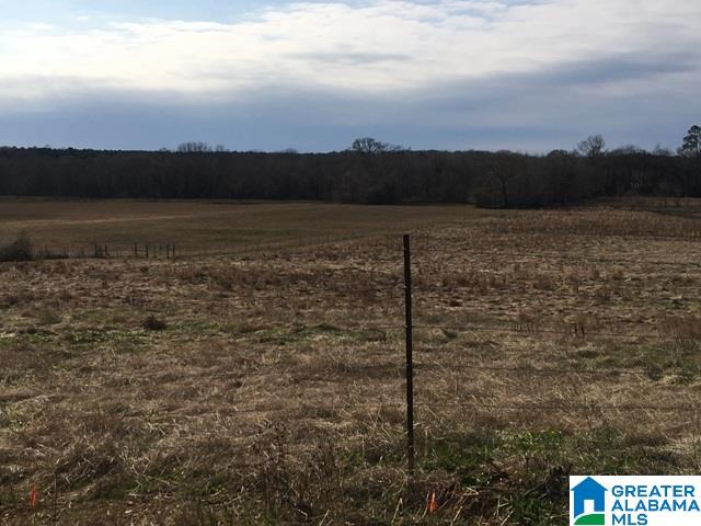 0 County Road 235, Unit 1 Alpine, AL 35014 - Photo 12 of 12