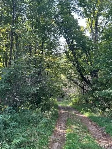 $135,000 | Hadcock Road, Stratford, NY 13470