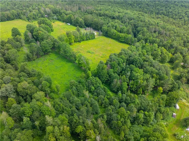 $135,000 | Hadcock Road, Stratford, NY 13470