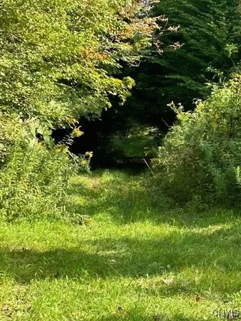 $135,000 | Hadcock Road, Stratford, NY 13470