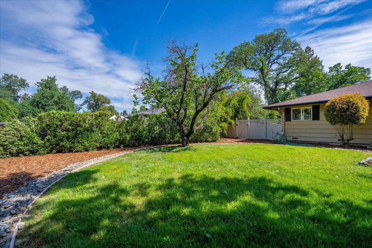 7038 Riata Drive Redding, CA 96002 - Photo 32 of 40 backyard north
