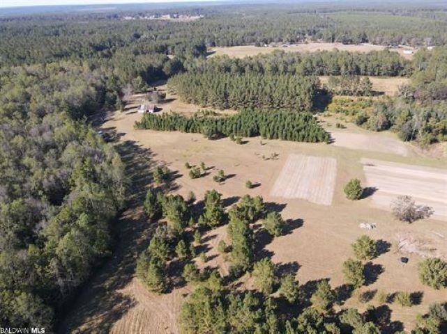 14500 Melvin Johnson Road Stapleton, AL 36578 - Photo 2 of 24