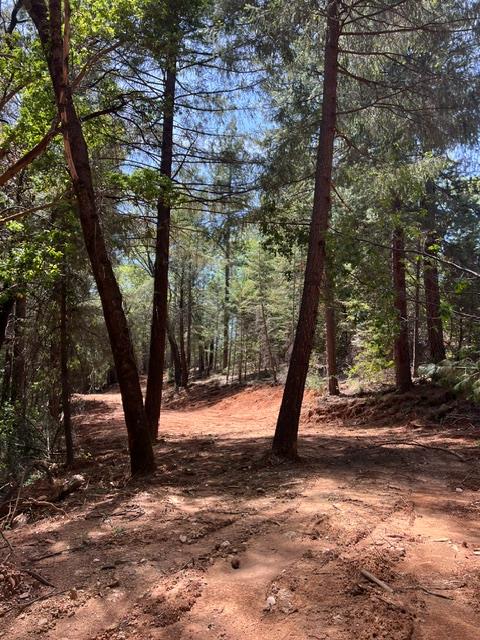 5040 Butterfield Stage Road Georgetown, CA 95634 - Photo 17 of 27 Gallery Image 17