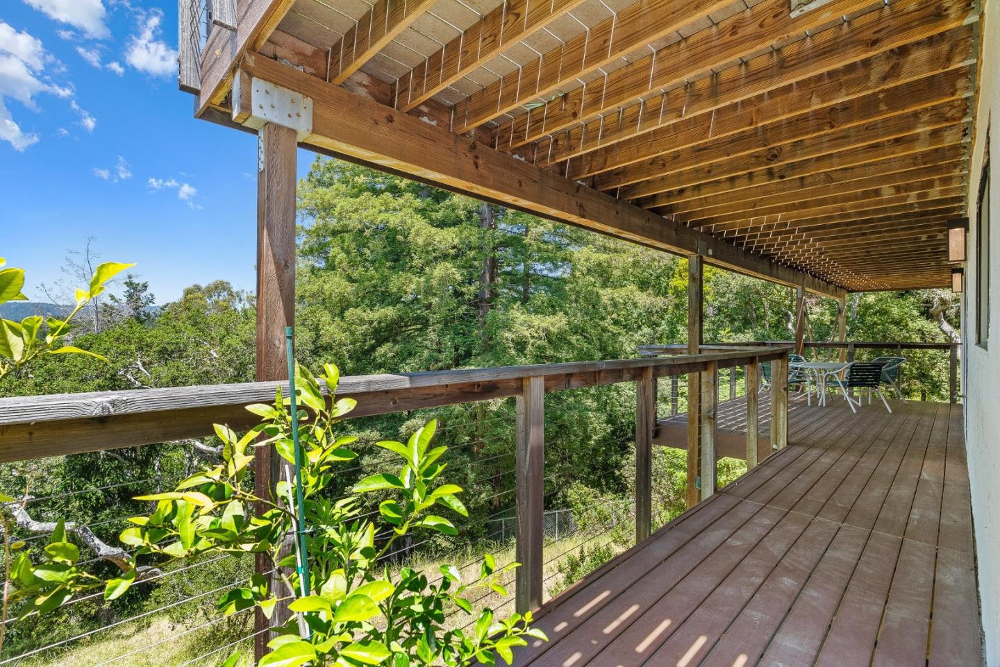 21 Kite Hill Road Santa Cruz, CA 95060 - Photo 52 of 54