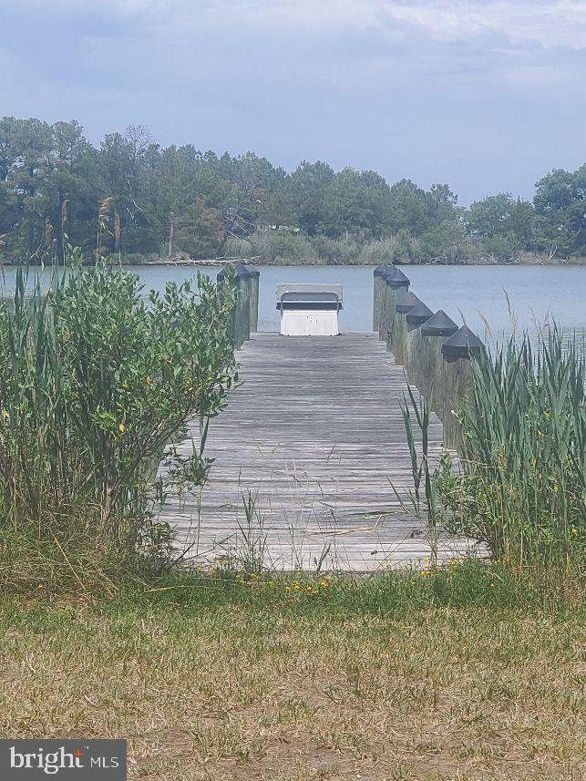 6046 Todds Point Road Cambridge, MD 21613 - Photo 9 of 13