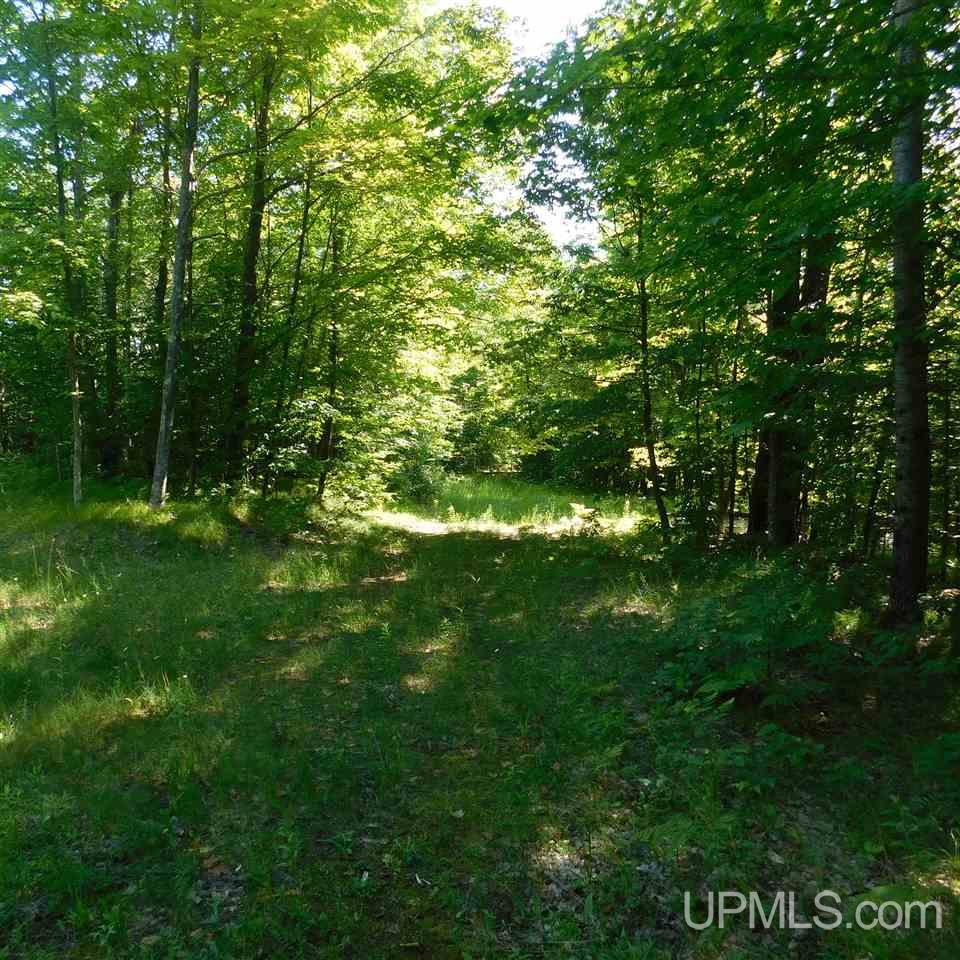 Tbd Tbd Off Fox Farm Road Hermansville, MI 49847 - Photo 9 of 12