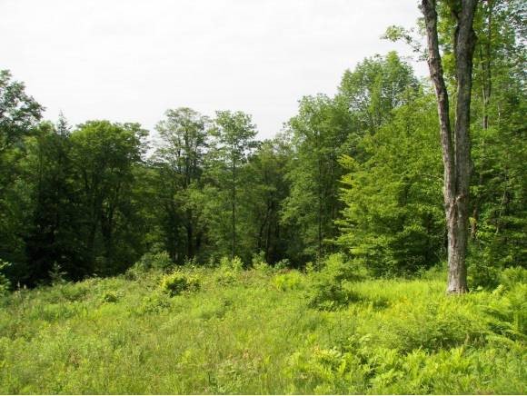 Lot 3 Ruddy Duck Lane Quechee, VT 05059 - Photo 6 of 7 Gallery Image 6