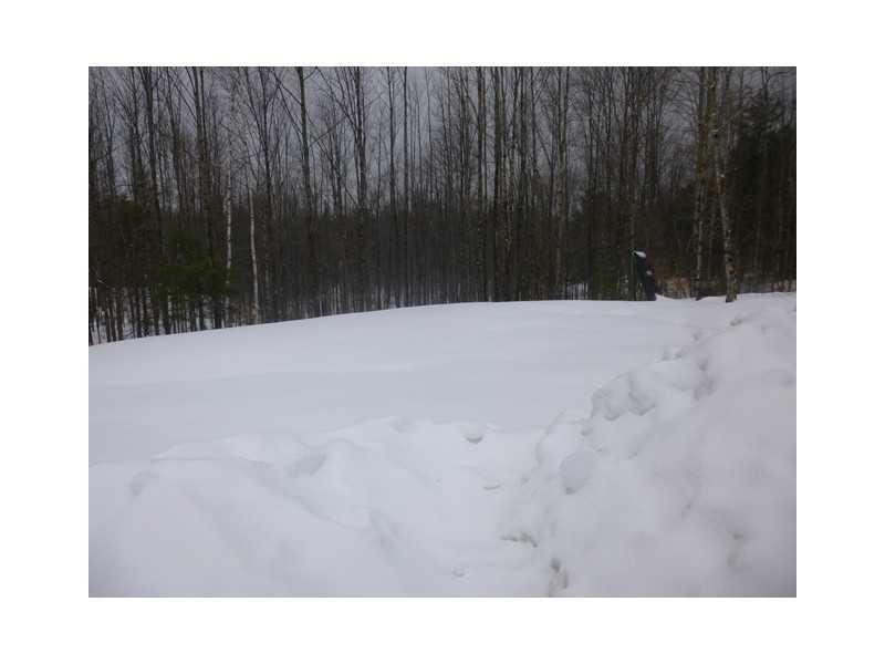 352 Beans Corner Road New Sharon, ME 04955 - Photo 8 of 17 Land/Lot.
