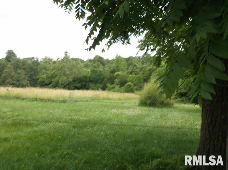 189 Homberg Road Golconda, IL 62938 - Photo 13 of 15 Gallery Image 13