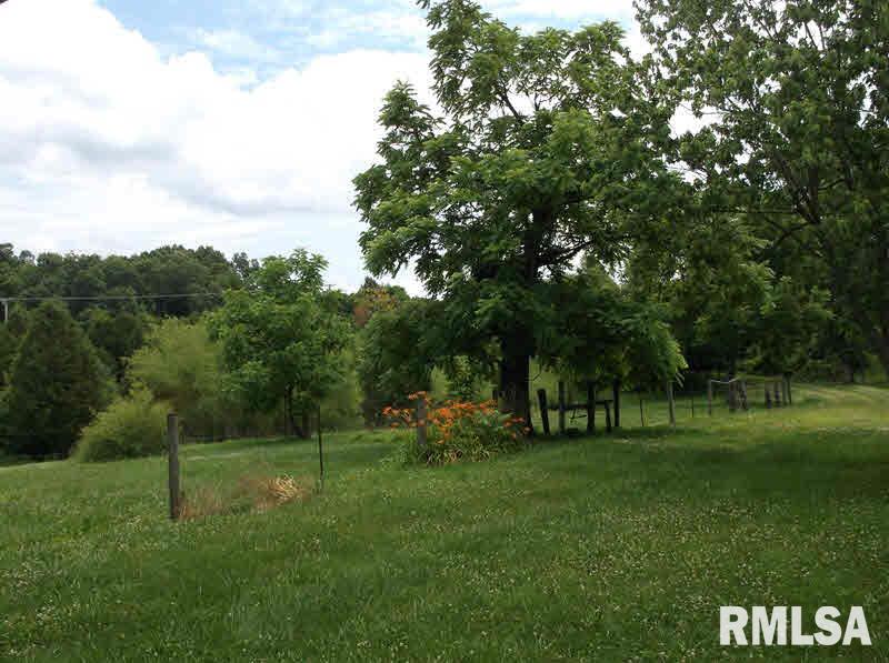 189 Homberg Road Golconda, IL 62938 - Photo 14 of 15 Gallery Image 14