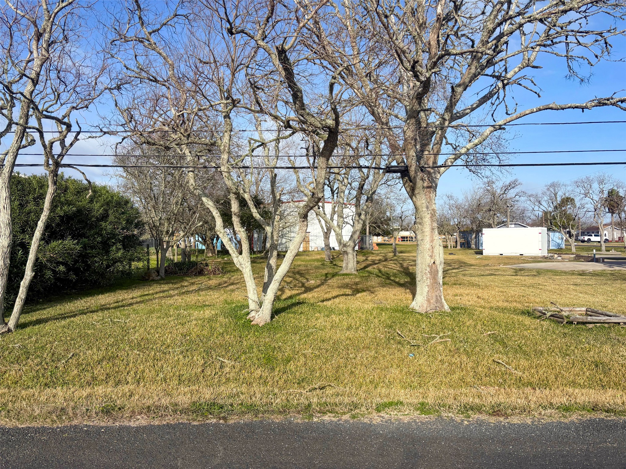 Tbd 4th Street Dickinson, TX 77539 - Photo 2 of 6 a view of a yard with an trees