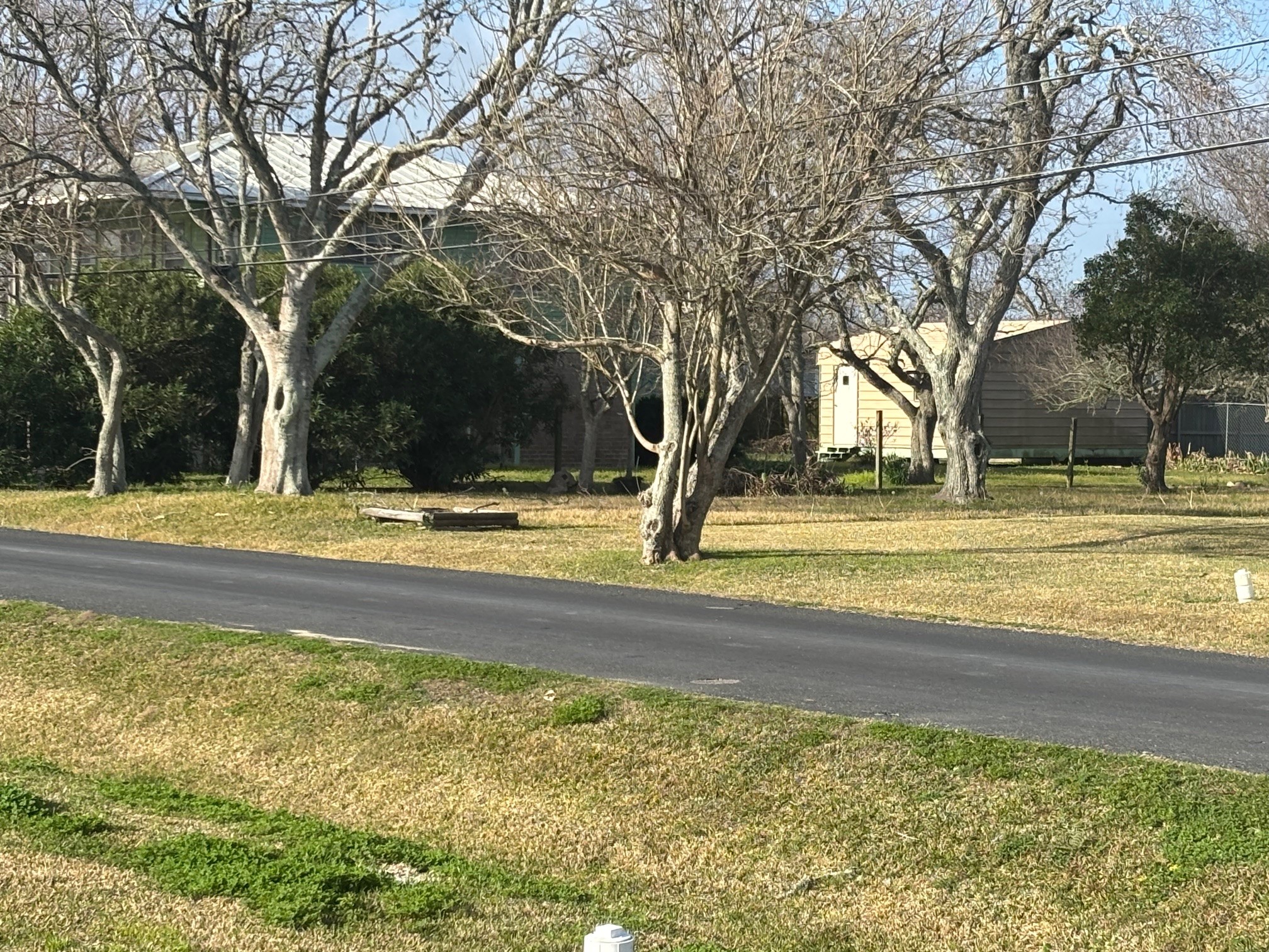 Tbd 4th Street Dickinson, TX 77539 - Photo 5 of 6 a view of swimming pool with trees