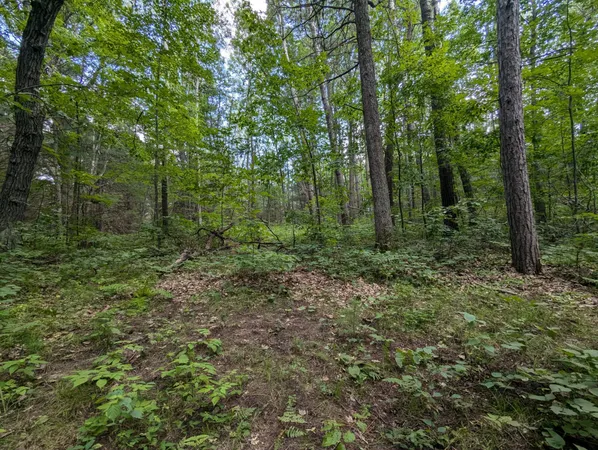 $26,900 | Lot 3 Fosmo, Webster, WI 54893