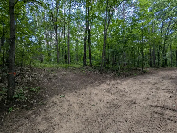 $26,900 | Lot 3 Fosmo, Webster, WI 54893