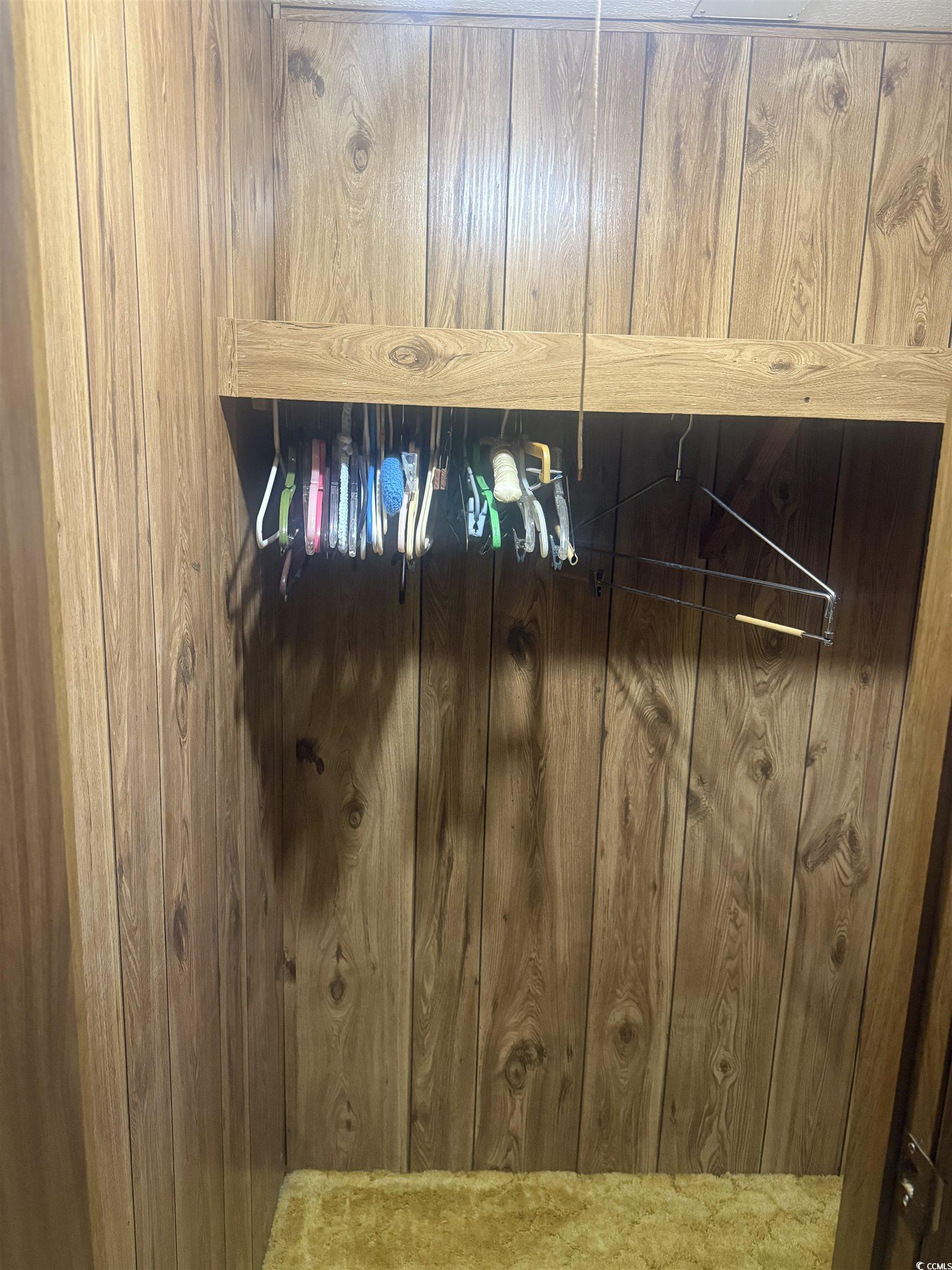 712 Raleigh Trail Murrells Inlet, SC 29576 - Photo 23 of 32 Carpeted spare room featuring wood walls