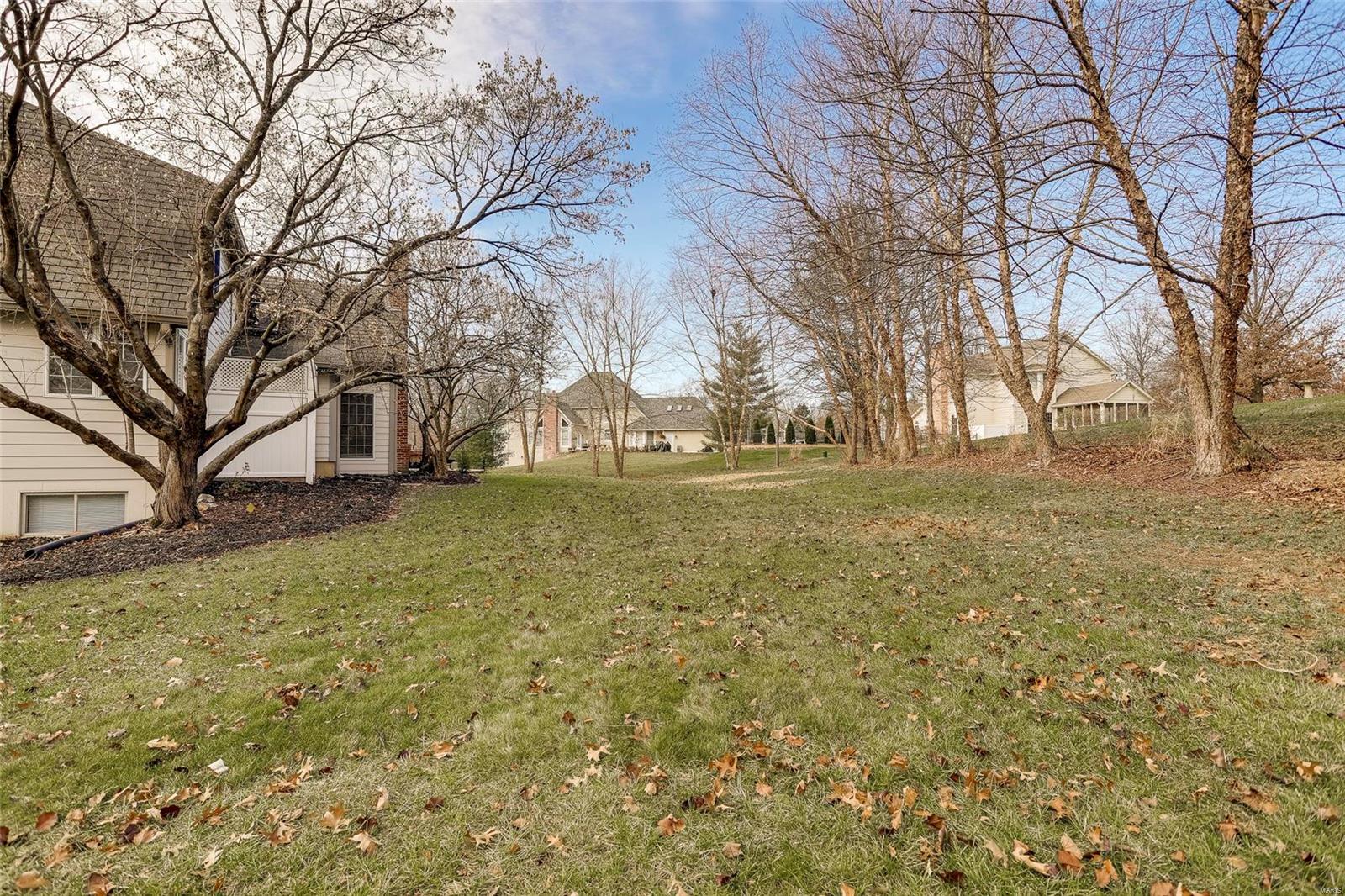 11 Wilson Ridge Court Chesterfield, MO 63005 - Photo 47 of 48 Gallery Image 47