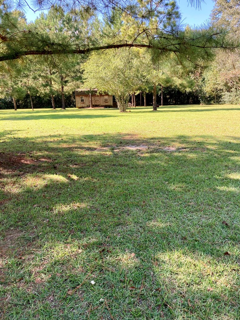 77 Crawford Road Cowarts, AL 36321 - Photo 47 of 60