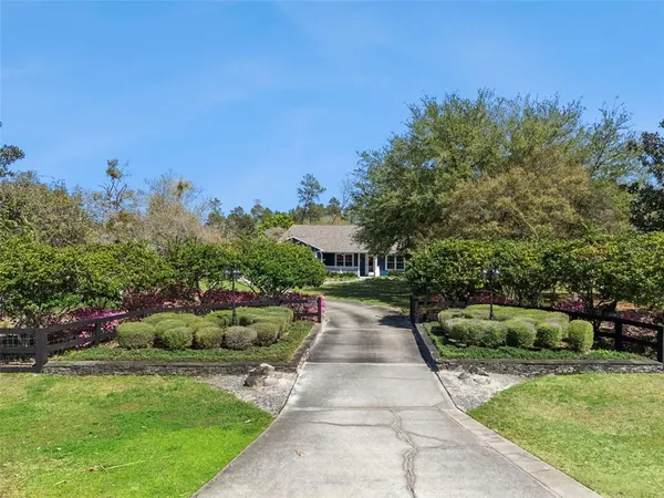 a view of a garden