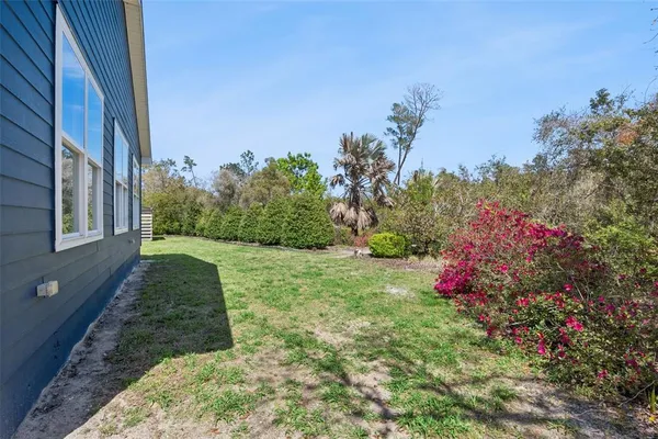a view of a tree in the middle of a yard