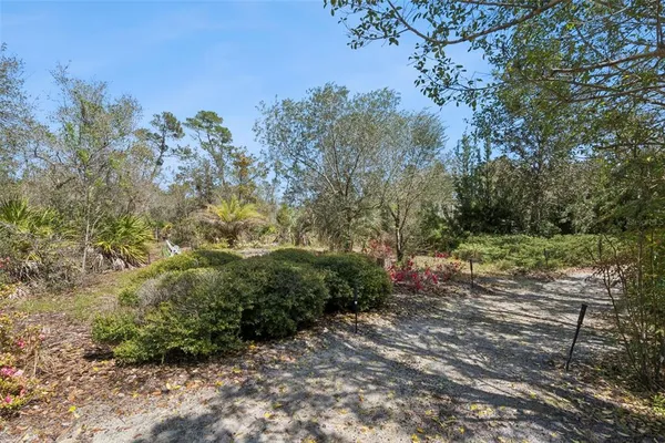 a view of backyard of a house