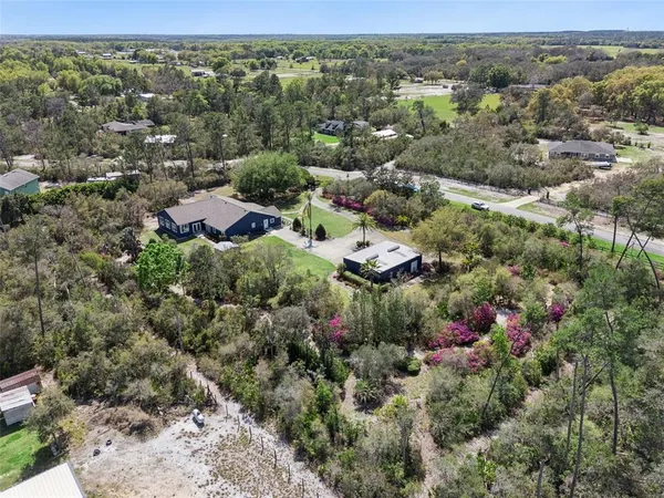an aerial view of residential houses with outdoor space and trees