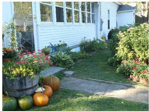 64 Wyman Hill Road Andover, ME 04216 - Photo 16 of 16 Yard/Garden.