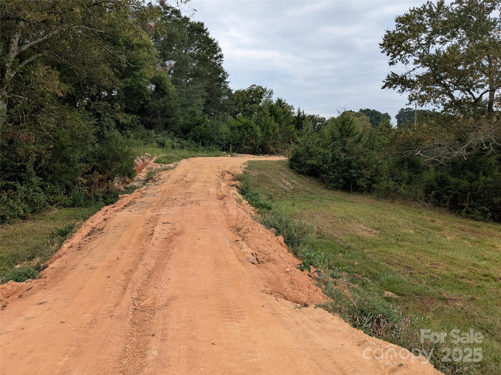 1227 Lavender Road Grover, NC 28073 - Photo 12 of 18 a view of backyard with green space