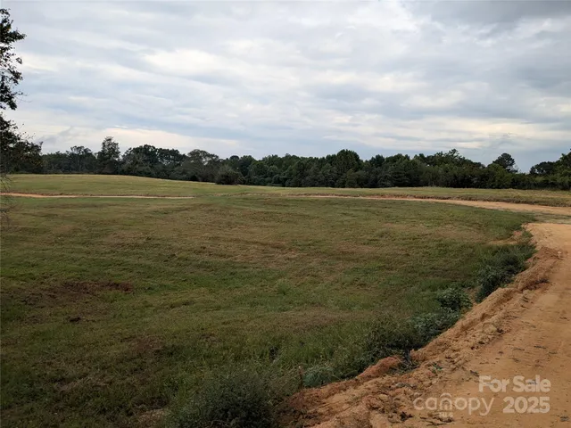 a view of a lake from a yard