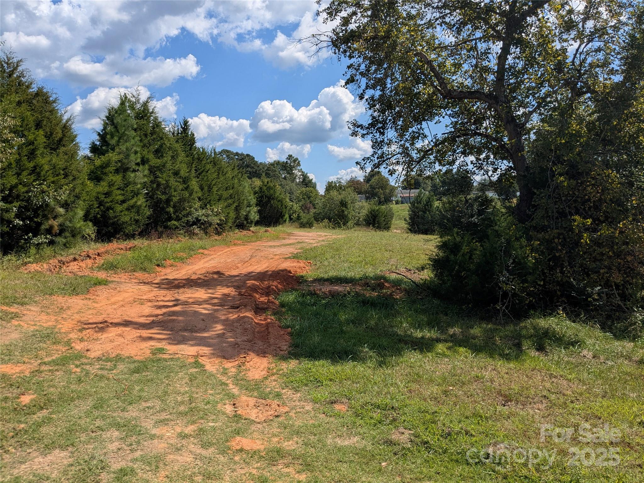 1227 Lavender Road Grover, NC 28073 - Photo 5 of 18 a view of outdoor space with trees all around