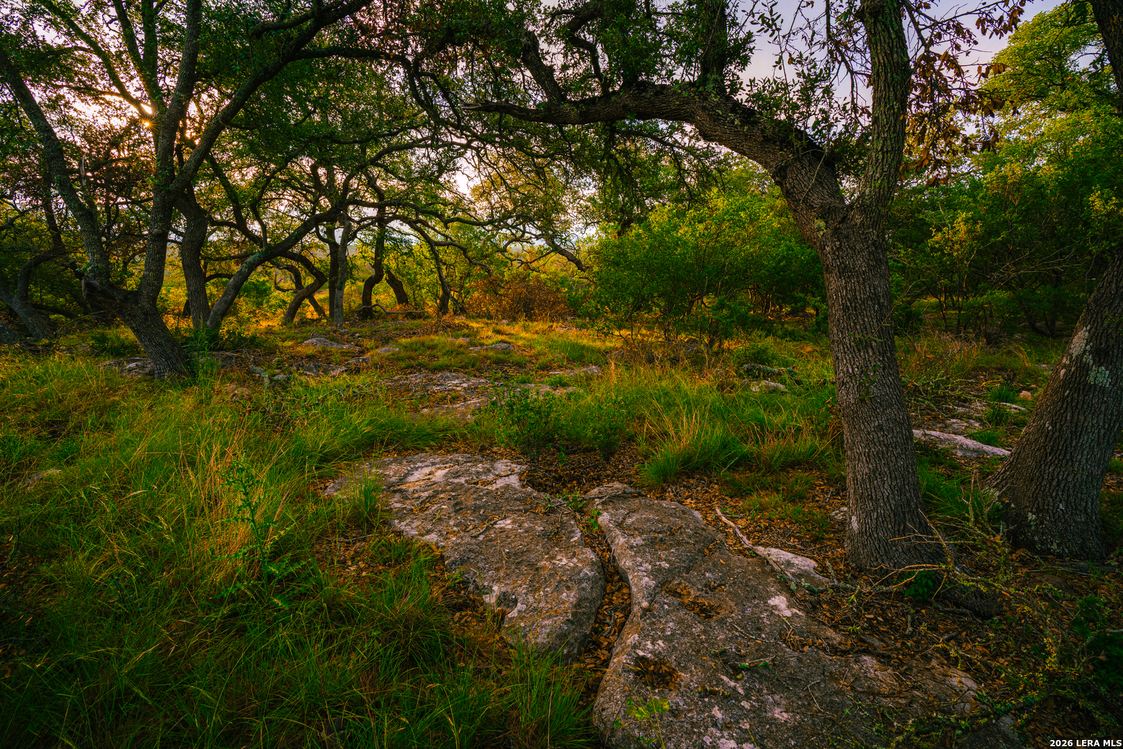 0 Elm Lookout Spring Branch Spring Branch, TX 78070 - Photo 6 of 6
