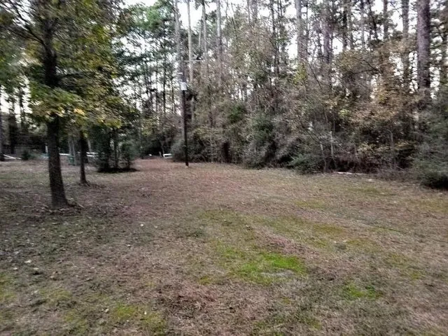 $290,000 | 2 Forest Service Road, Unit 214, New Waverly, TX 77358